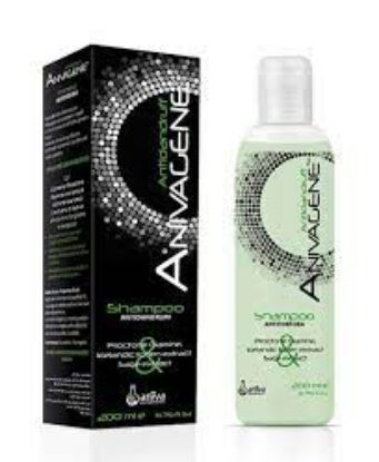 Picture of Anivagene Anti-Dandruff Shampoo 200ml